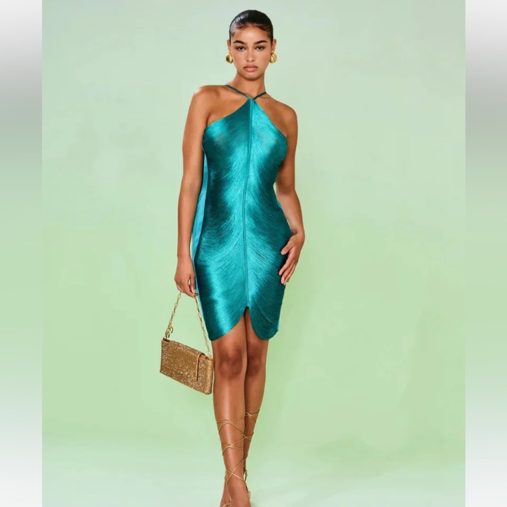 CULT GAIA Mara Dress Erba sz XS worn only a few hours. Compliments galore!